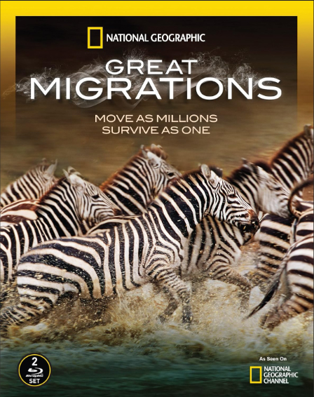 National Geographic Great Migrations